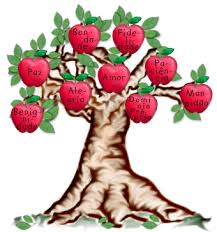Estudo Bíblico: O FRUTO DO ESPÍRITO 